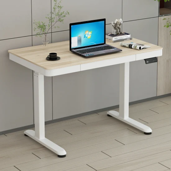 Electric Sit Stand Lift Desk Height Adjustable Office Home School Standing Study Desk