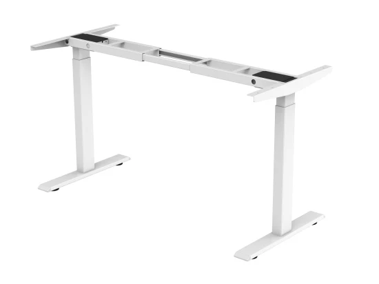 Electric Sit Stand Dual Motor Height Adjustable Standing Desk for Office Home Dm