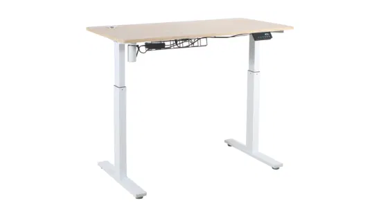 China Factory Ergonomic Electric Height Adjustable Office Desk/ Standing Desk Sample Customization